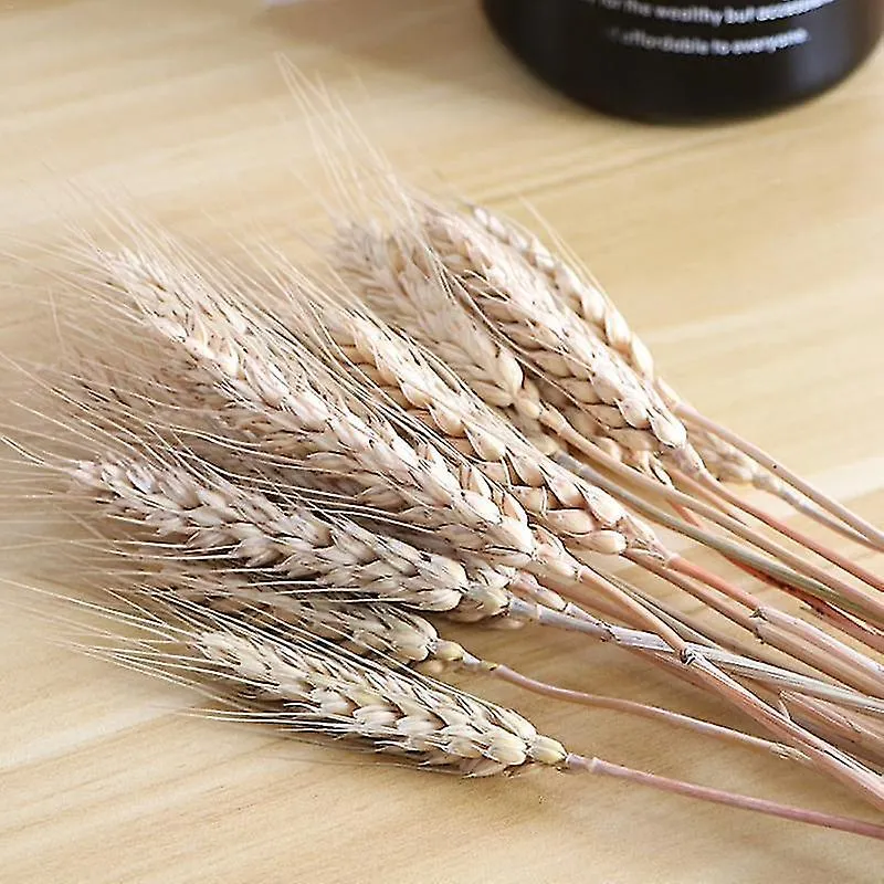 50pcs W Ears Dried En Plants Pri S