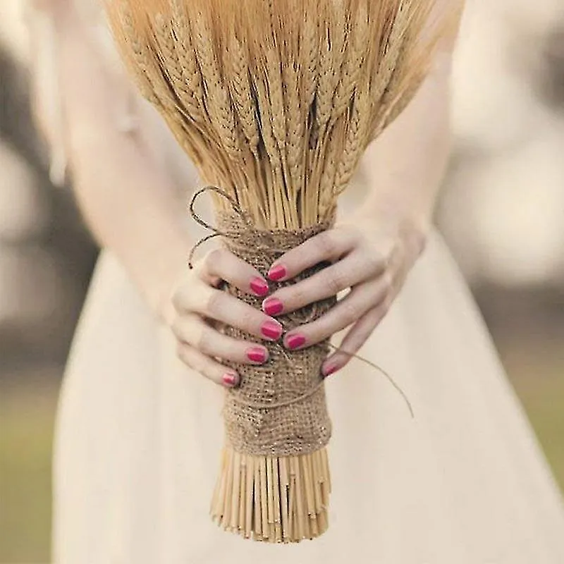 50pcs W Ears Dried En Plants Pri S