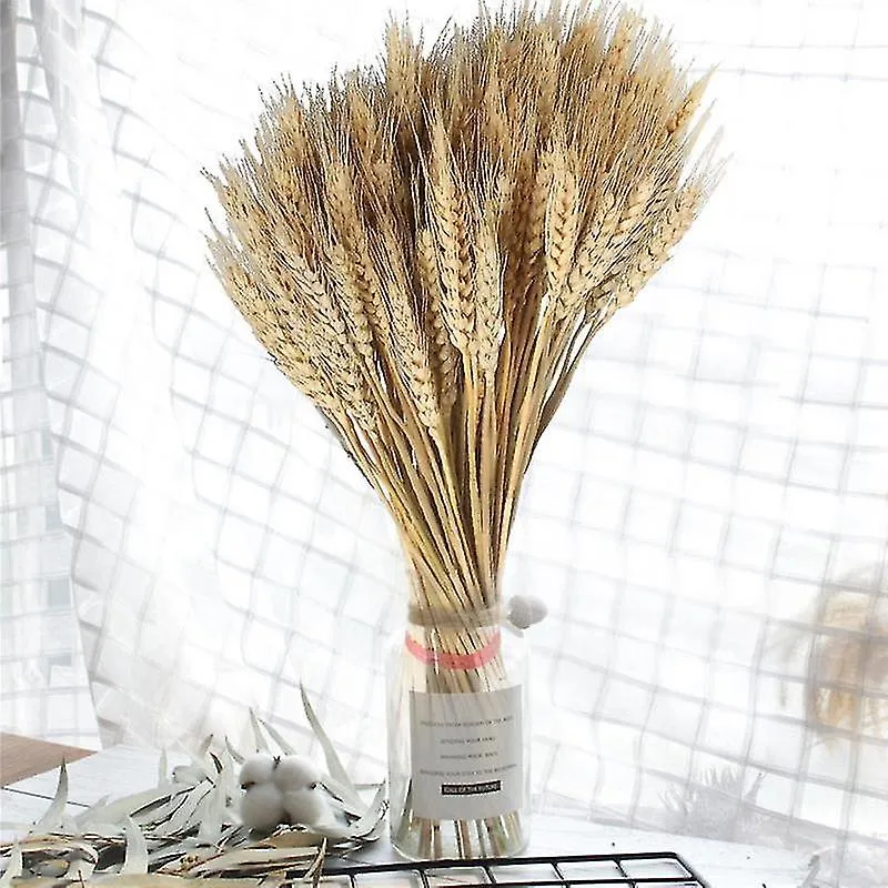 50pcs W Ears Dried En Plants Pri S