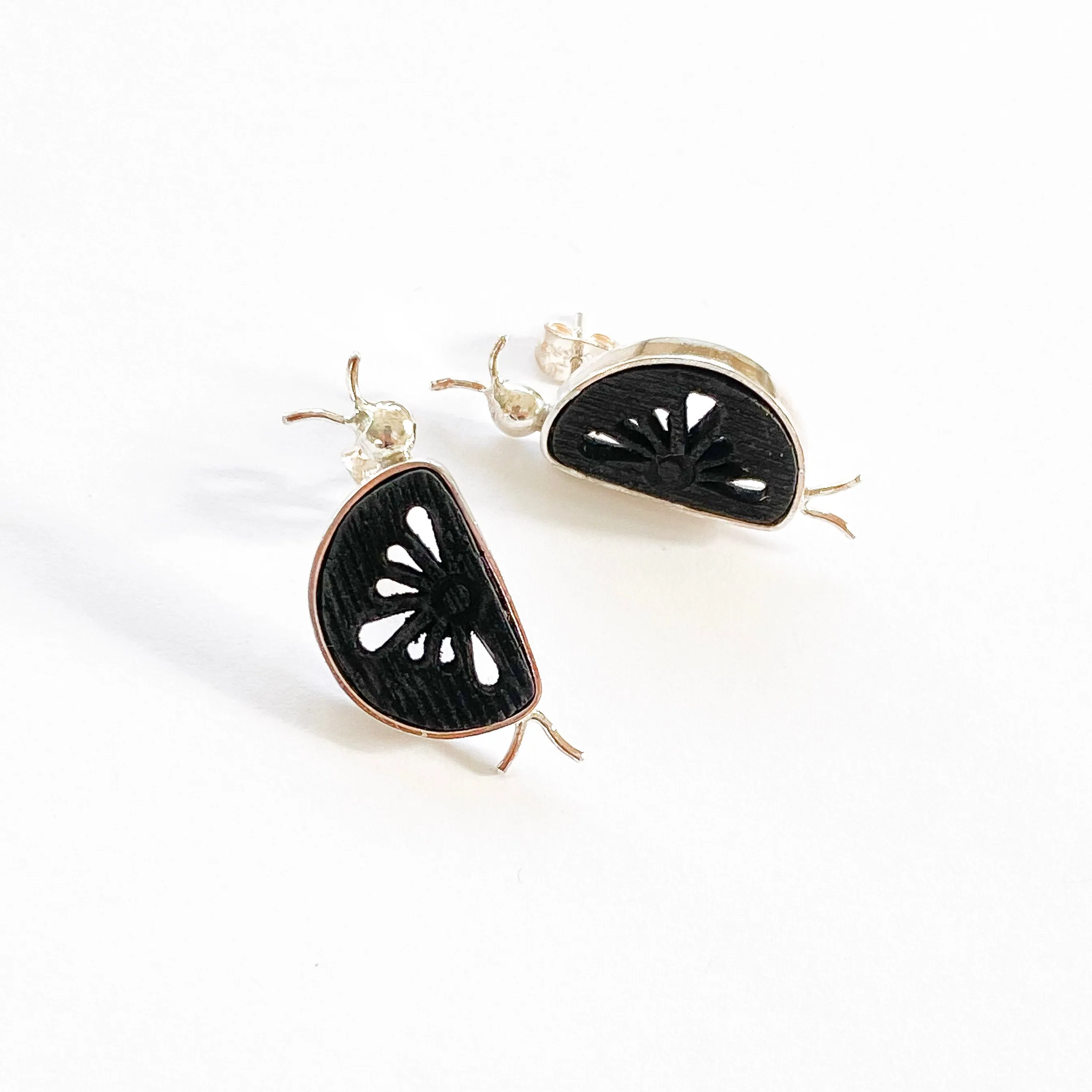 ARETES CATARINA  PLATA