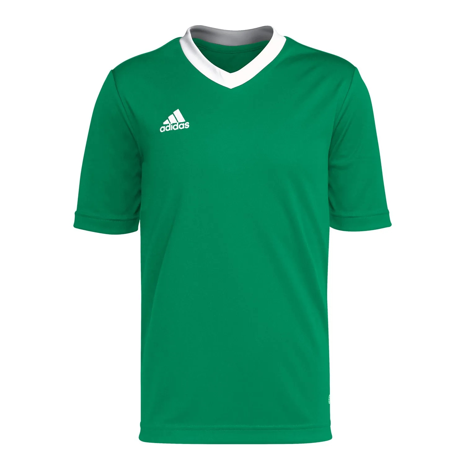 Camiseta adidas Entrada 22 niño