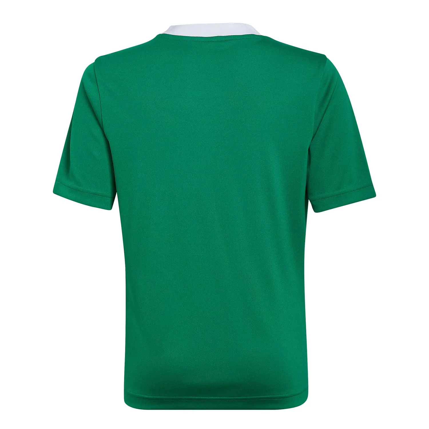 Camiseta adidas Entrada 22 niño