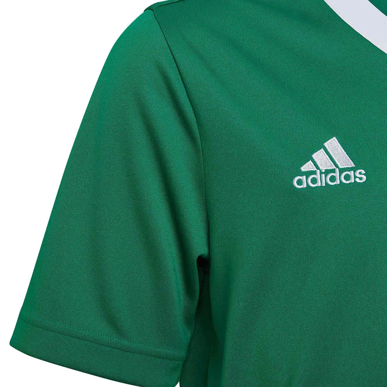 Camiseta adidas Entrada 22 niño
