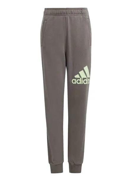 Pantalon Adidas BL FT Gris/Verde Jr