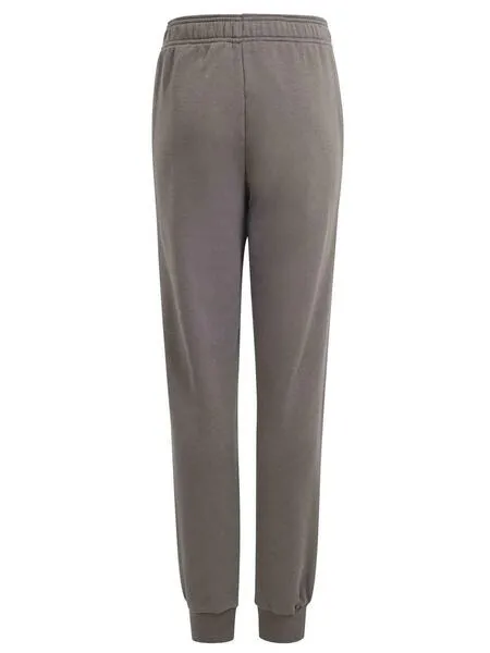 Pantalon Adidas BL FT Gris/Verde Jr