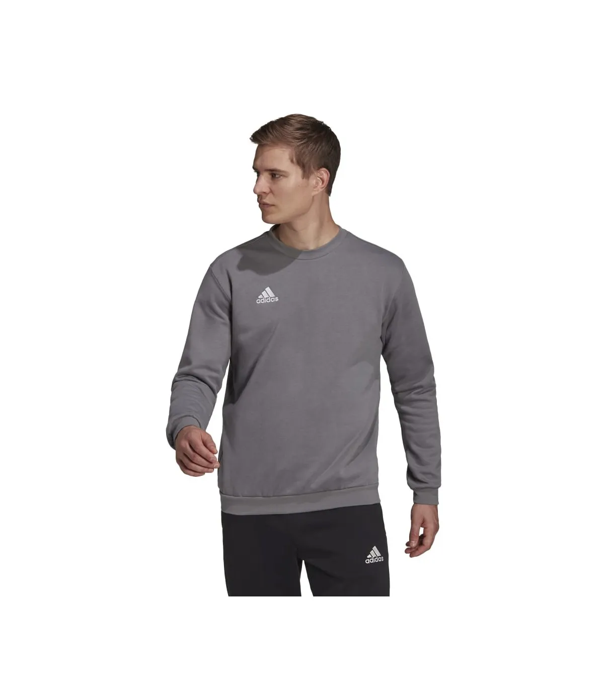 Sudadera Adidas Entrada 22 Gris