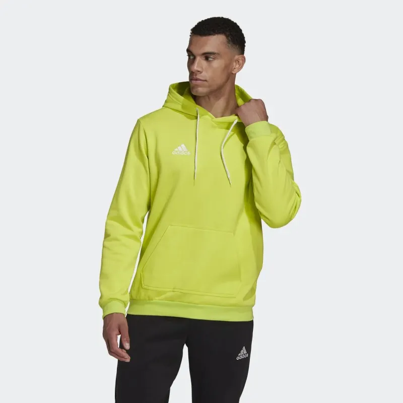 Sudadera adidas Entrada 22 HC5083